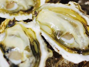 isinomakinokakiwotabeyounokai kokuti.jpg